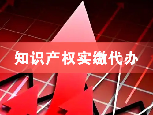 咸宁知识产权实缴资本代办